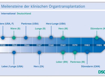 Schaubild: Klinische Organtransplantation | Deutsche Stiftung Organtransplantation | Frankfurt